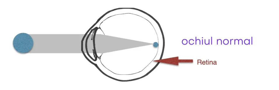 ochiul-normal